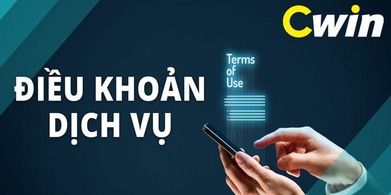 Các điều khoản và điều kiện khác
